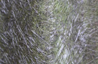 Moor Park fibreglass roof work